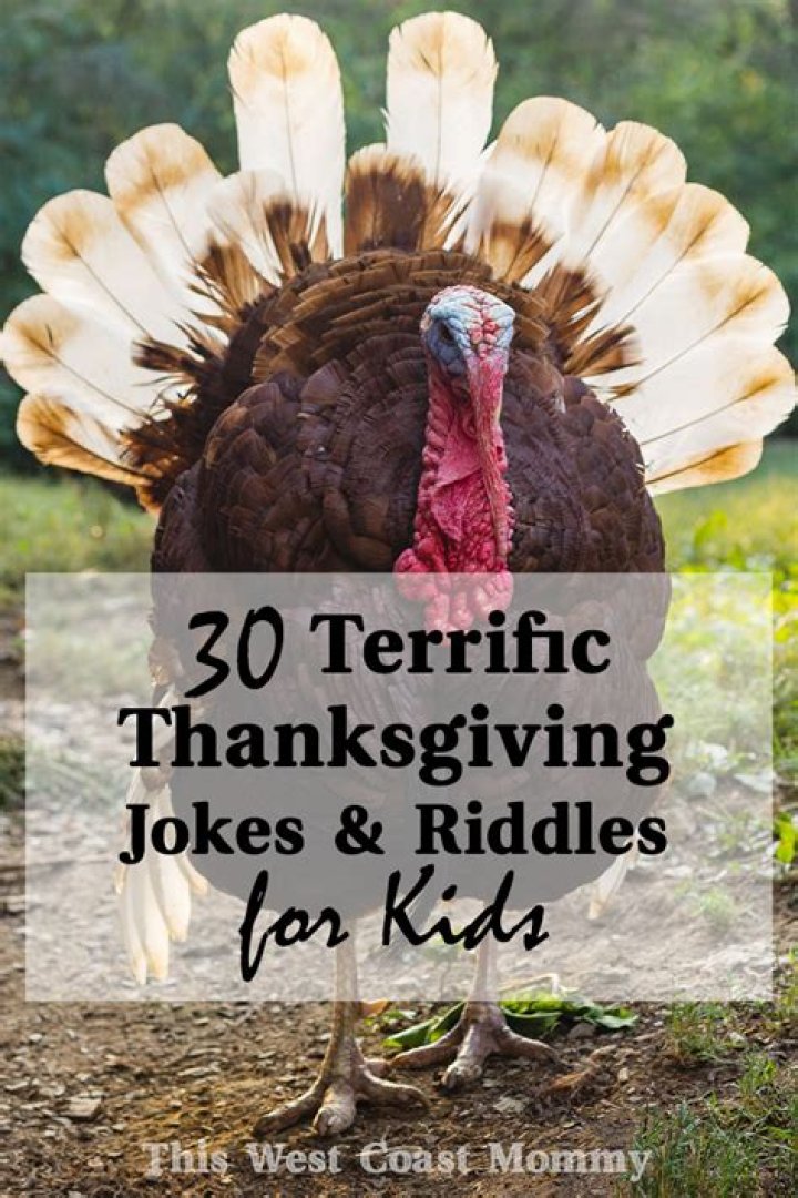 
30 Turkey Jokes And Riddles For Thanksgiving This Season 
