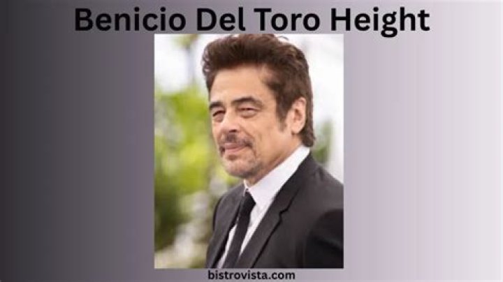 Benicio del Toro Height, Weight, Net Worth, Age, Birthday, Wikipedia, Who, Instagram, Biography