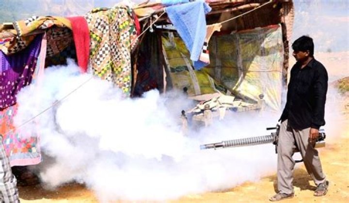 
Dengue spread in Pakistan continues unabated 