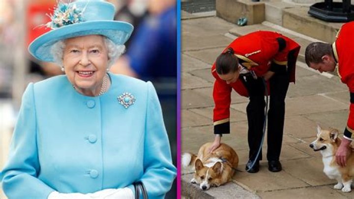 
Here’s What Could Happen to Queen Elizabeth’s Corgis After Her Death 