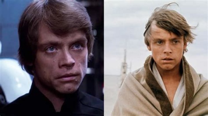 
Is Luke Skywalker Gay? Why His Sexuality is a Topic of Debate? 