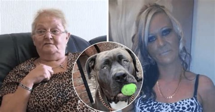 
Joanne Robinson From Rotherham Mauled To Death By Her Dogs- Who Was She? 