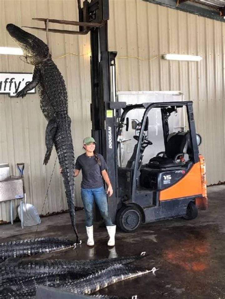 Ryan Friedrichs Height, Weight, Net Worth, Age, Birthday, Wikipedia, Who, Instagram, Biography