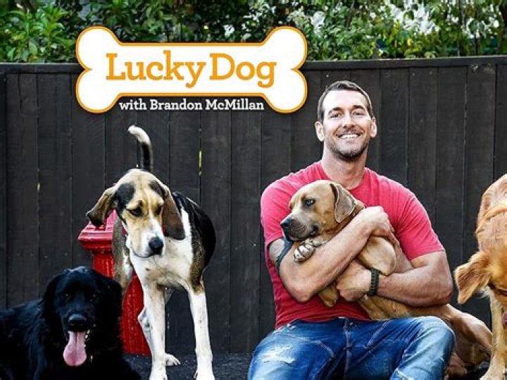
What We Know About Brandon McMillan ‘The Lucky Dog’ Star’s Family and Career 