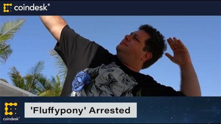 
Why Was High-flying SA Crypto Developer Fluffypony Arrested? His Charges Explained 